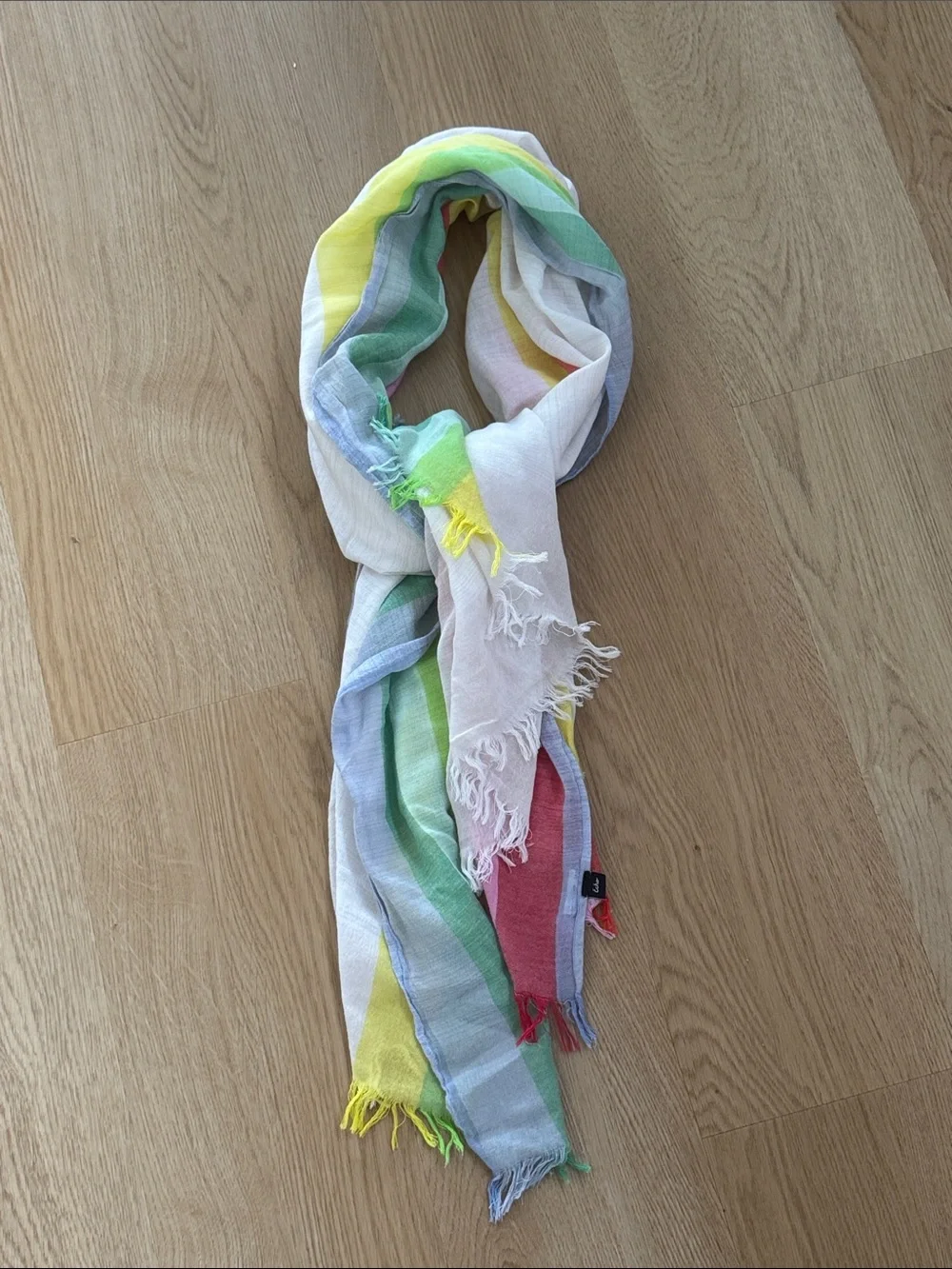 Echo‎ Multi Colored Lightweight Striped Raw Hem Blanket Scarf